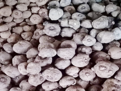 蒜苔市場價(jià)多少錢一斤？蒜苔批發(fā)*多少錢圖2