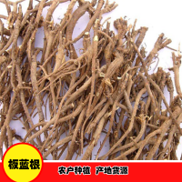 求購板藍根統(tǒng)貨