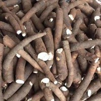 求購(gòu)不水洗生切狗頭片二百?lài)?，熟狗頭小片一百?lài)? onmouseover=