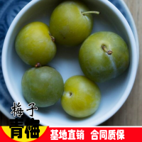 ?大量收購鮮梅子，干烏梅