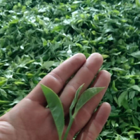 求購(gòu)藤茶（莓茶） ，白及