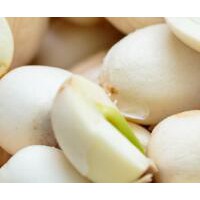 求購白蓮子，數(shù)量30噸。要求1.2cm以上水泡蓮，通芯率百分之95以上