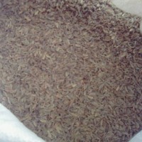 求購當(dāng)歸0.3篩，0.4篩以下的丁子