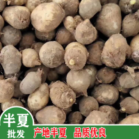 求購南星，半夏，黃精