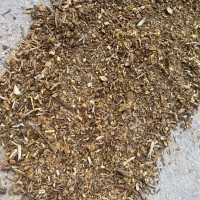 求購(gòu)黃芩園片，珍珠透骨草