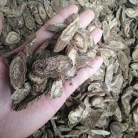 求購(gòu)肉獨(dú)活，木香統(tǒng)貨