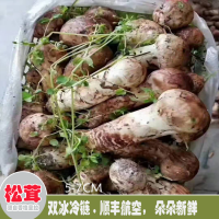 求購姬松茸菌種，數(shù)量6畝量