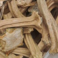 ?大量求購(gòu)南瓜蒂