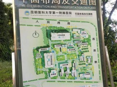 昆明陪診服務(wù) 昆明陪診號碼多少 昆明陪診公司有哪幾家圖4