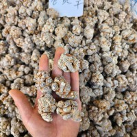 帶帽七、七行漂亮、老貨20頭23頭30頭足頭足干