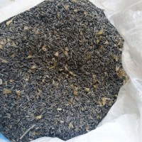 求購白部11000㎏無霉無雜全干貨，有貨聯(lián)系