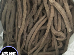 昆明五華續(xù)斷苗圖片 續(xù)斷長什么樣？ 續(xù)斷施肥圖7