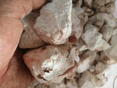 茯苓的主產(chǎn)地在哪里？有什么功效與作用？圖2