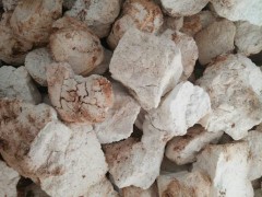 茯苓的主產(chǎn)地在哪里？有什么功效與作用？圖3