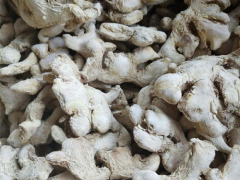 無硫姜片批發(fā)-云南干姜片銷售*羅平縣永和農(nóng)業(yè)種植專業(yè)合作圖3