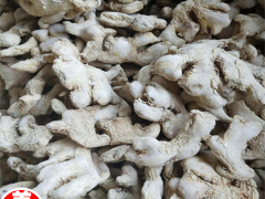 云南干姜片%云南小黃姜(鮮姜)批發(fā)什么價&云南羅平小黃姜干姜片價格&圖2
