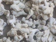 云南干姜片產(chǎn)地在哪里呢 云南的干姜片多少錢一噸 云南干姜片老干姜片圖1